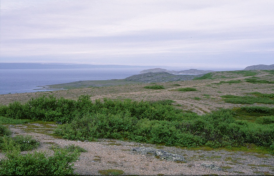 The open Varangerfjord beneath a wide Arctic sky